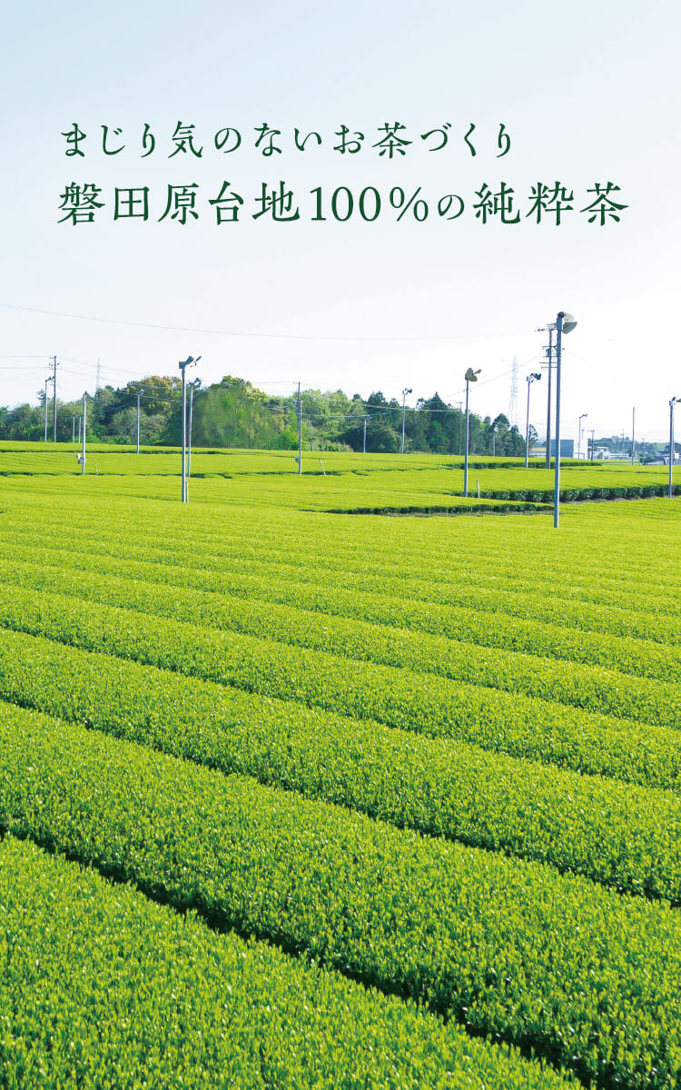 まじり気ないお茶づくり。磐田原台地100%の純粋茶